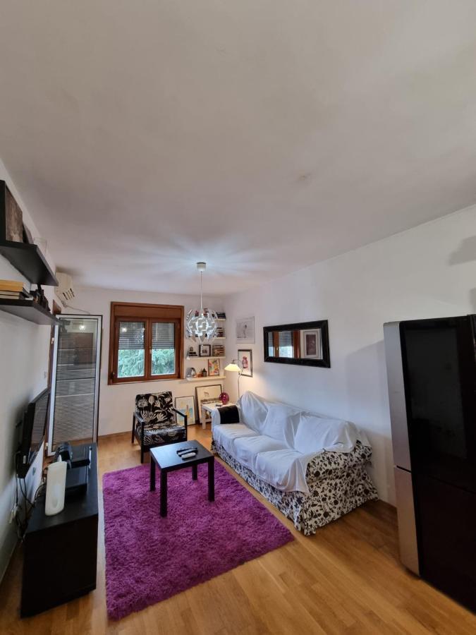 One Bedroom Centre Apartment Podgorica Kültér fotó